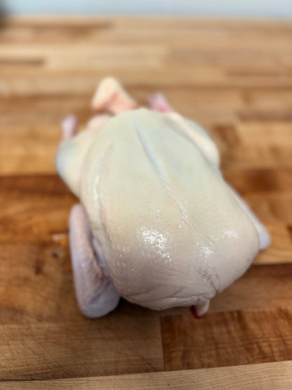 A Whole Duck image 0