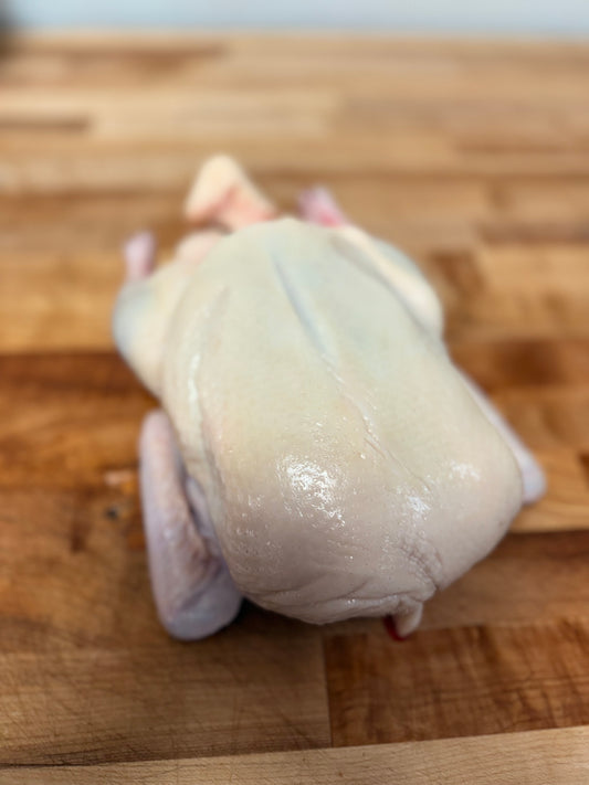 A Whole Duck image 0