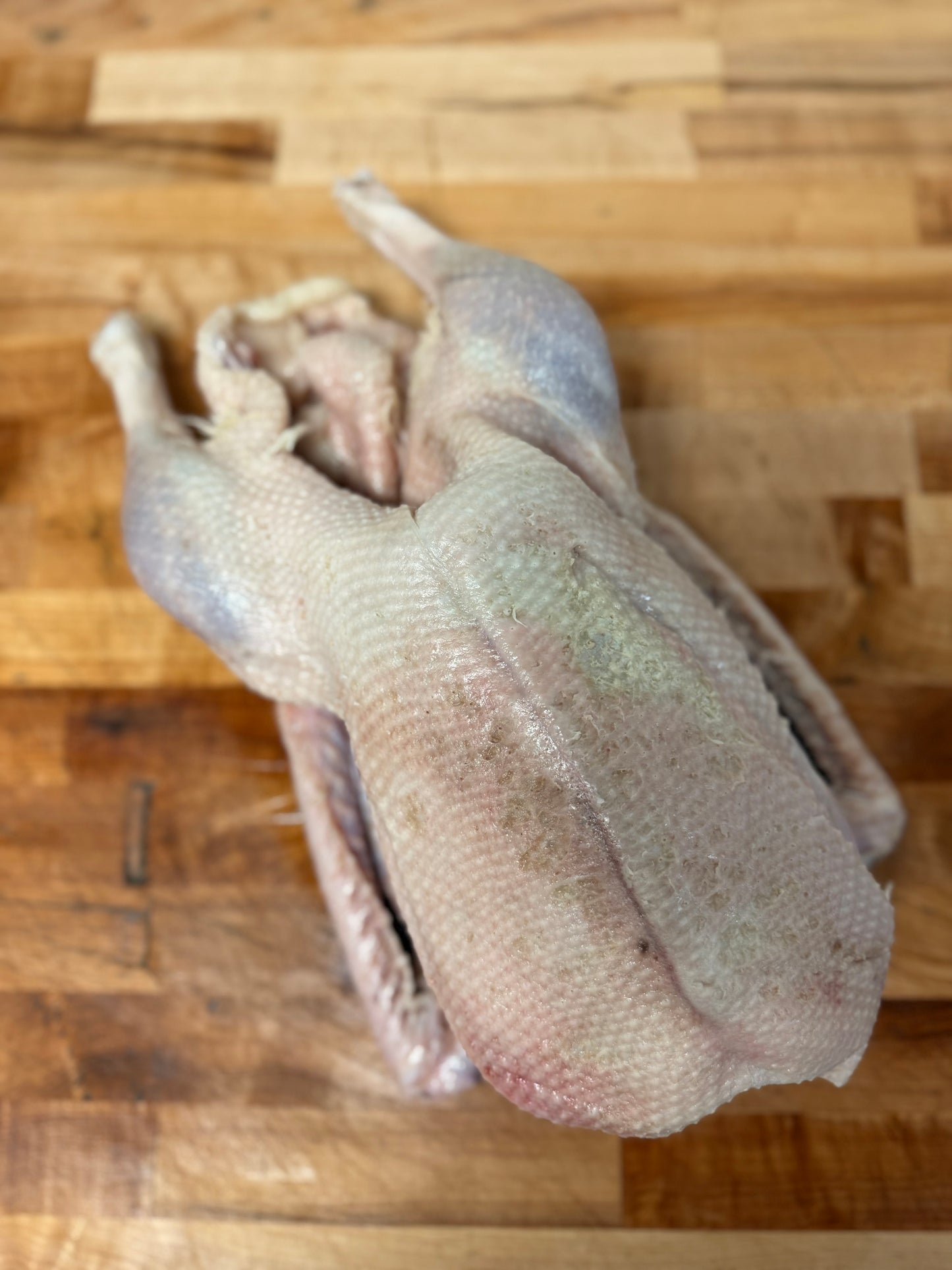 A Whole Goose image 1