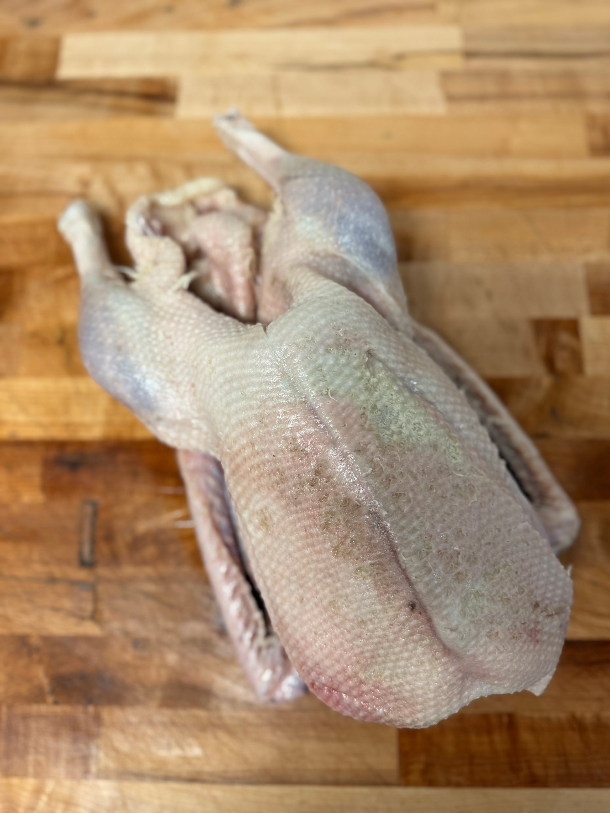 A Whole Goose image 1