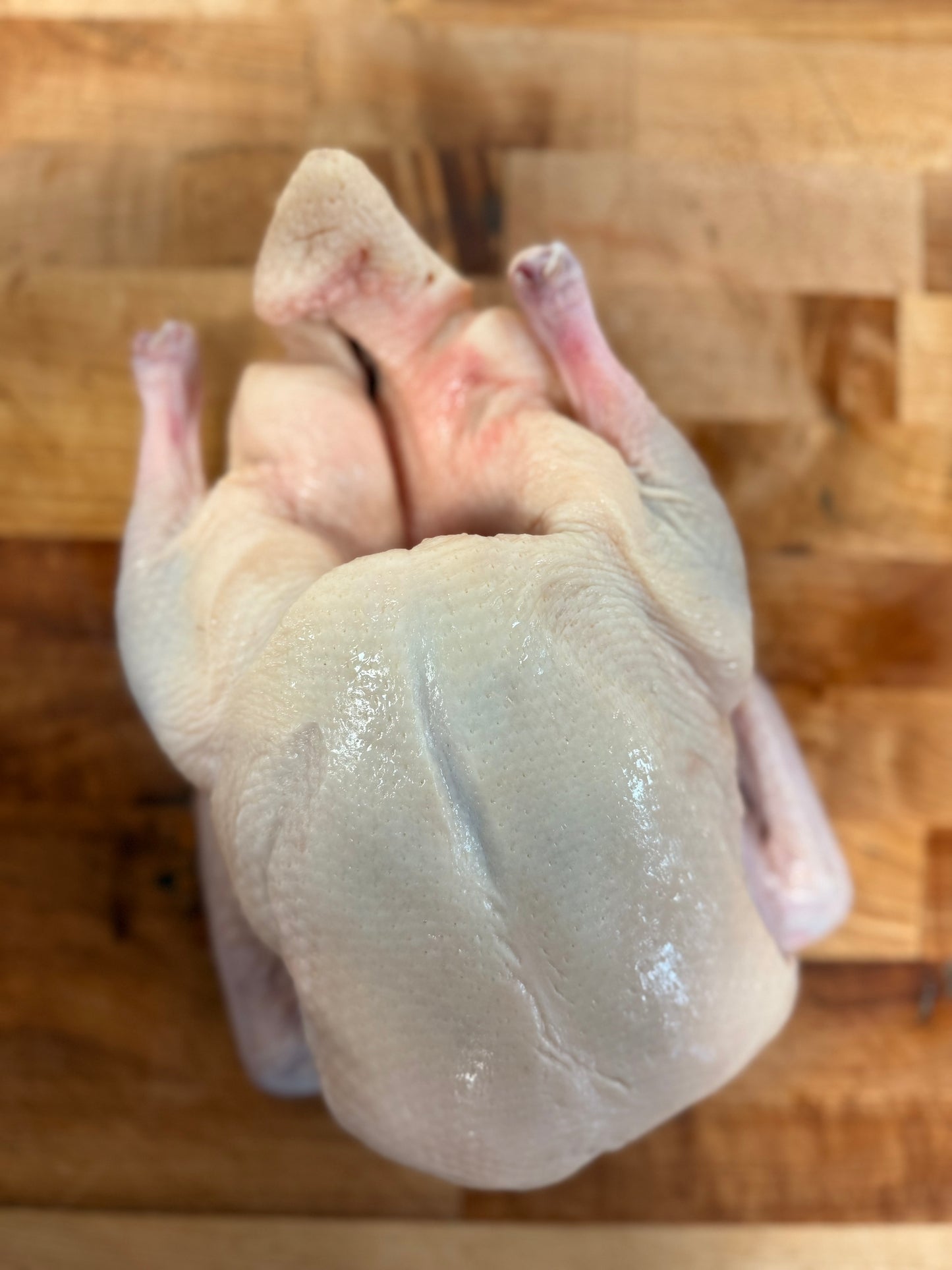 A Whole Duck image 1