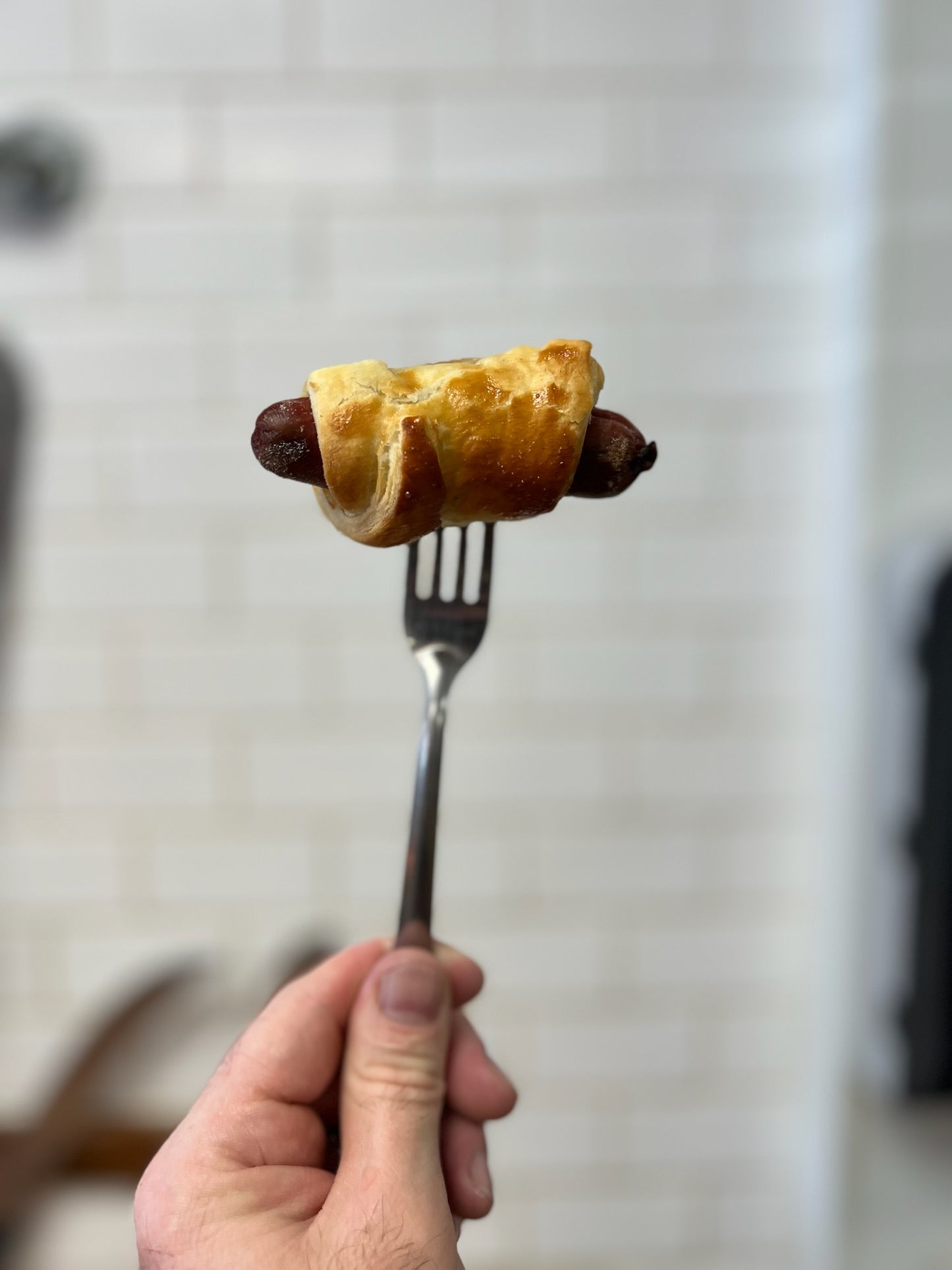 Bovine Blankets image 0